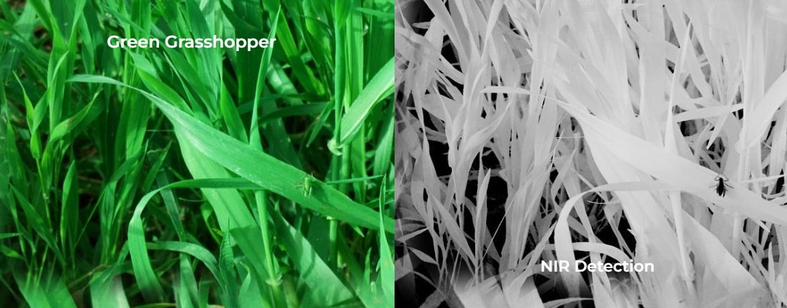 Multispectral Cameras