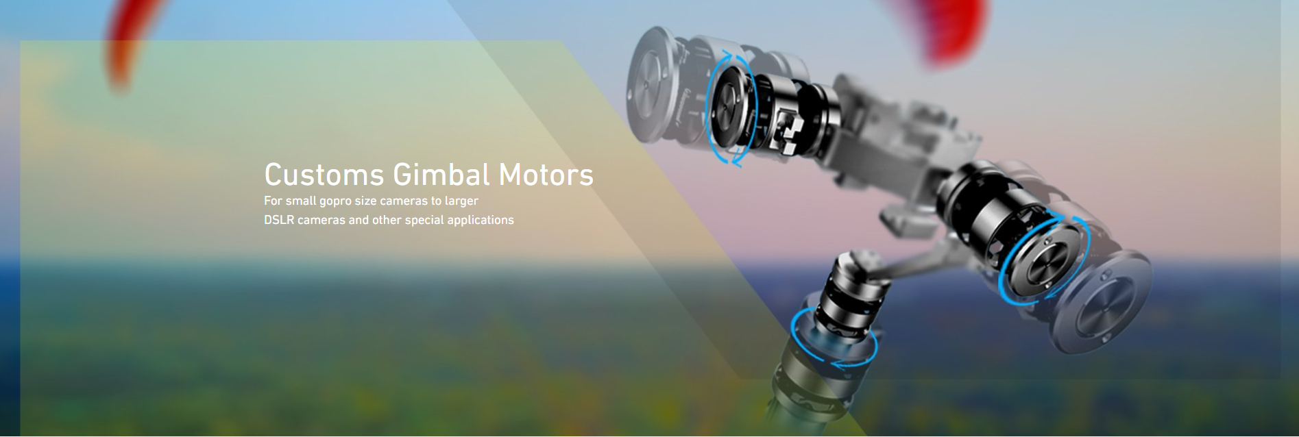 Gimbal Series Motors