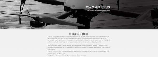 M Series Motors
