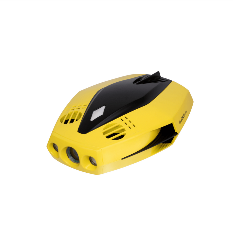 Chasing Dory Underwater ROV