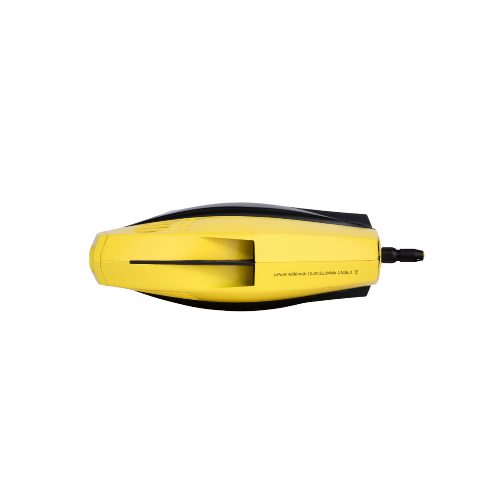 Chasing Dory Underwater ROV